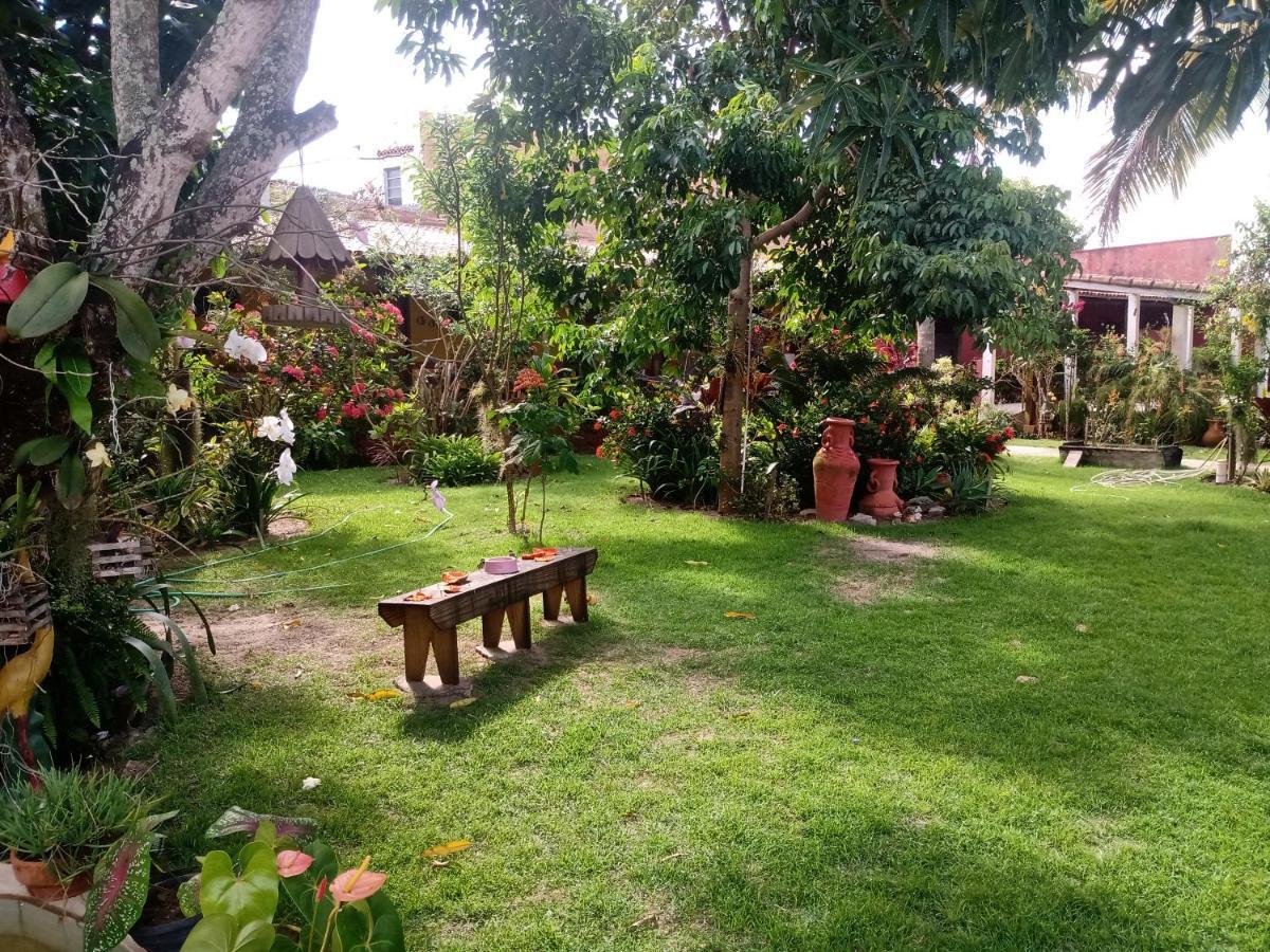 Pousada Bromelias - Suites E Aptos Нова-Вісоза Екстер'єр фото